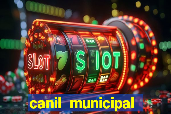 canil municipal porto alegre