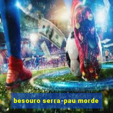 besouro serra-pau morde