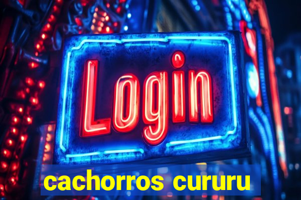 cachorros cururu