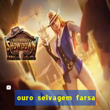 ouro selvagem farsa ouro selvagem o que aconteceu