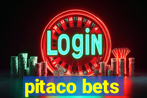 pitaco bets