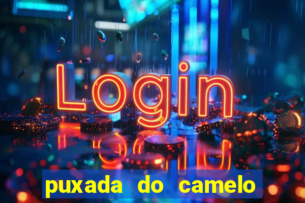 puxada do camelo jogo do bicho