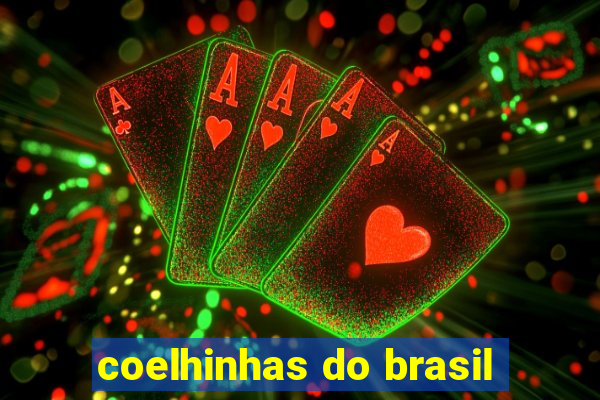 coelhinhas do brasil