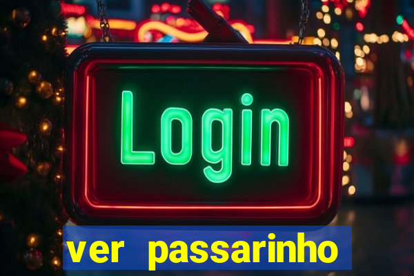 ver passarinho morto significado espiritual