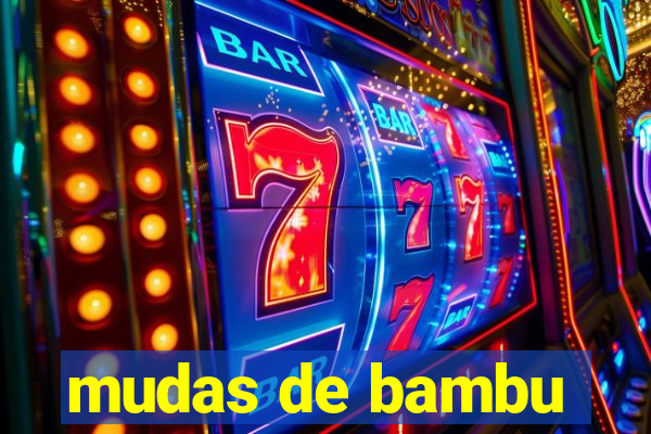 mudas de bambu