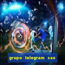 grupo telegram sao jose do rio preto