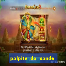 palpite do xande de hoje