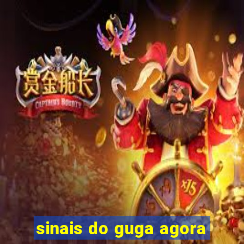 sinais do guga agora