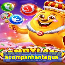 acompanhanteguanambi