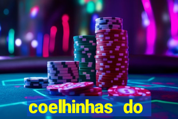 coelhinhas do brasil acompanhantes