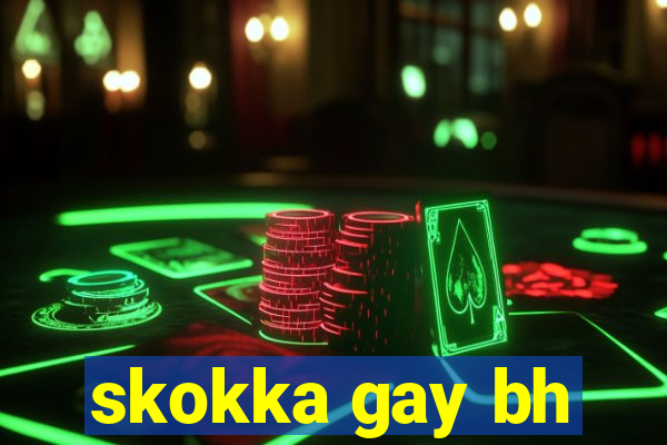 skokka gay bh