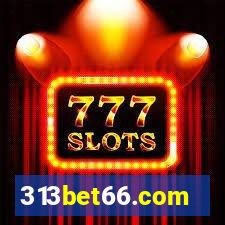 313bet66.com