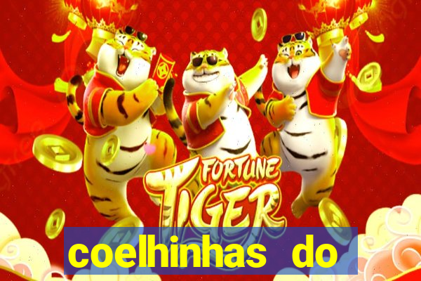 coelhinhas do brasil jp