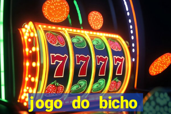 jogo do bicho crash bingo