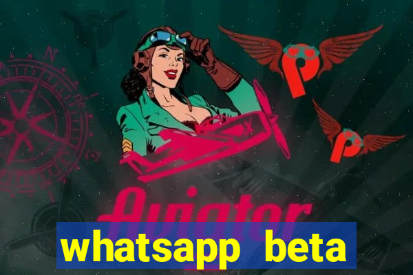 whatsapp beta mirror apk