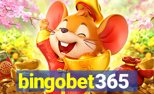 bingobet365