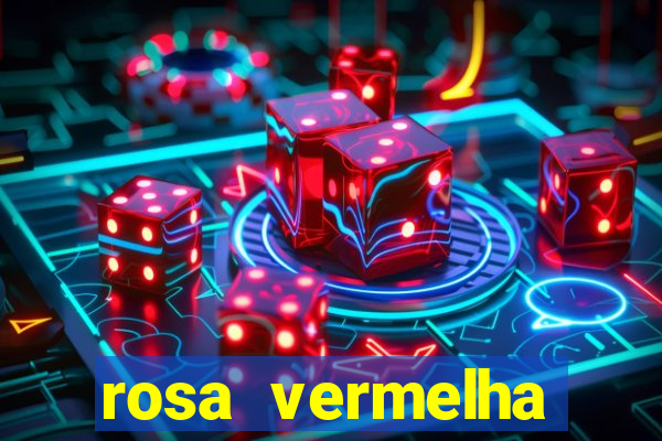 rosa vermelha (letra e cifra)