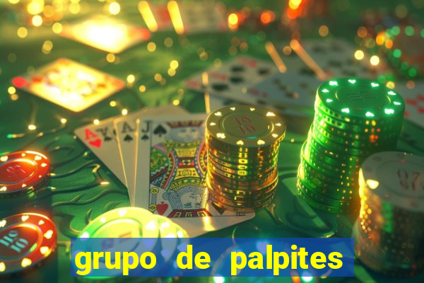 grupo de palpites de futebol whatsapp