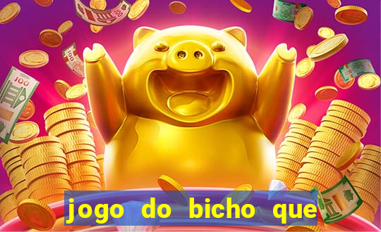 jogo do bicho que paga no pix