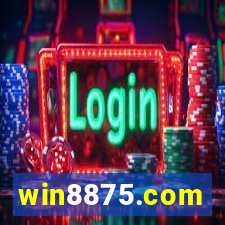 win8875.com