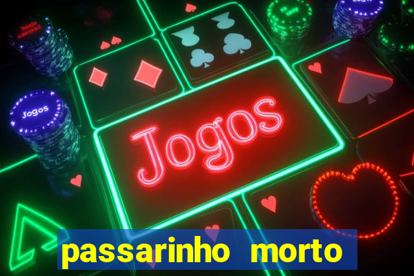 passarinho morto significado espiritual