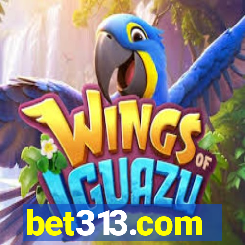 bet313.com