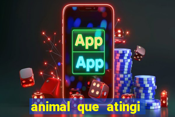 animal que atingi 230 decibeis