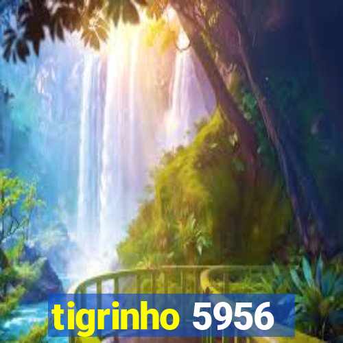 tigrinho 5956