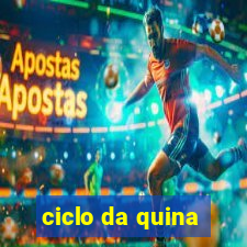 ciclo da quina