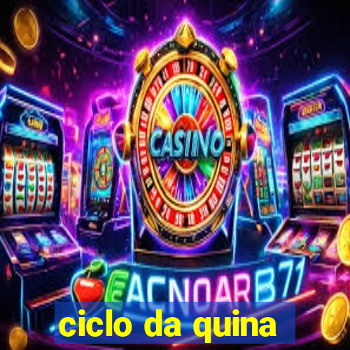 ciclo da quina