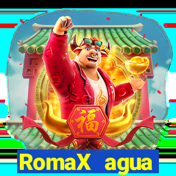 RomaX agua sanitaria fispq agua sanitaria romax