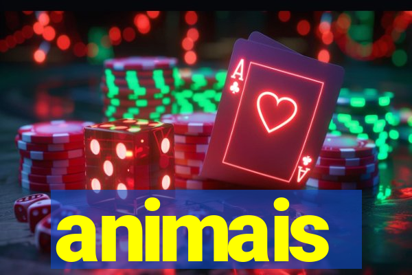 animais-pg.com