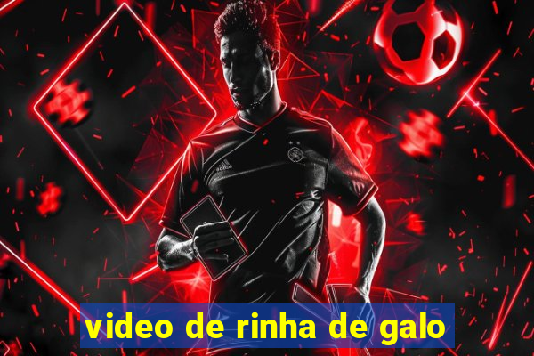 video de rinha de galo