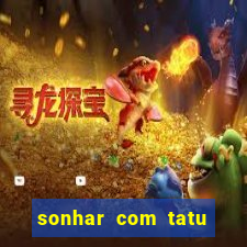 sonhar com tatu jogo do bicho