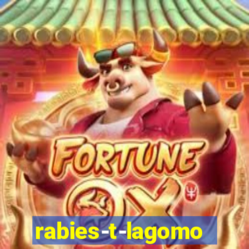 rabies-t-lagomorph