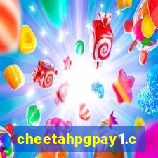 cheetahpgpay1.com