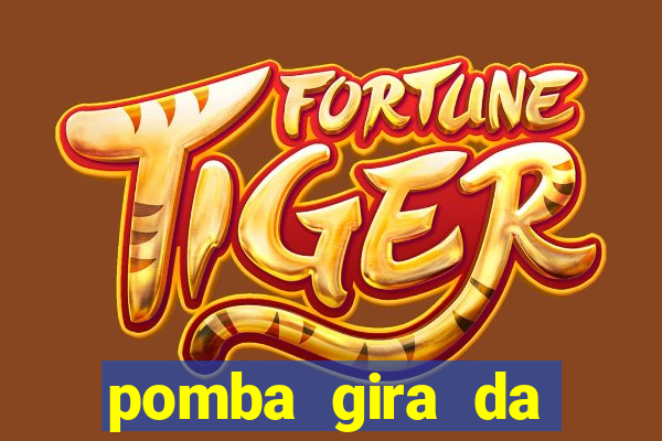 pomba gira da figueira cores