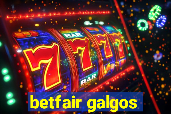 betfair galgos