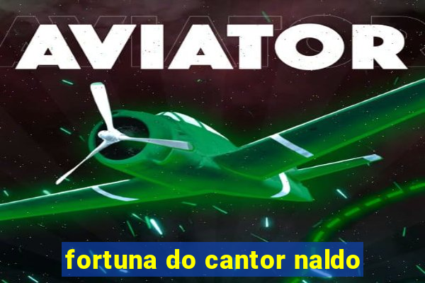 fortuna do cantor naldo