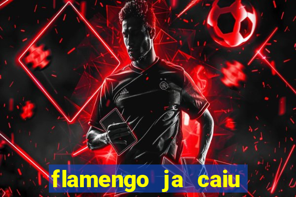 flamengo ja caiu para serie b