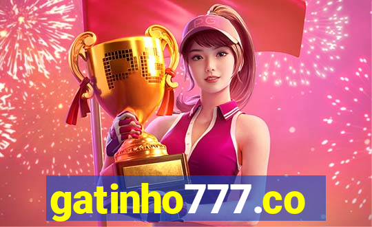 gatinho777.co