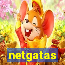 netgatas