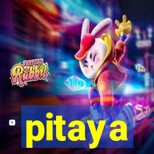 pitaya-bet