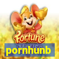 pornhunb