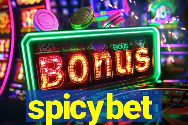 spicybet-2.com