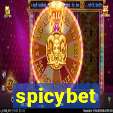 spicybet-3.com