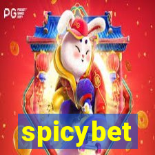 spicybet-3.com