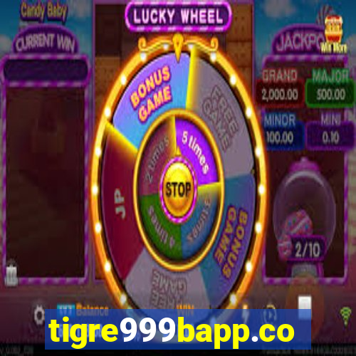 tigre999bapp.com